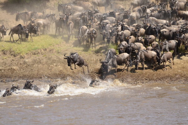 9-Days of Ultimate Northern Tanzania Safari Adventure