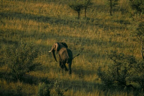 4 Days  Northern Tanzania Expedition Safari