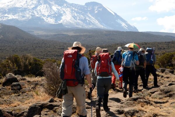 6 Day – Kilimanjaro Rongai Route Trek